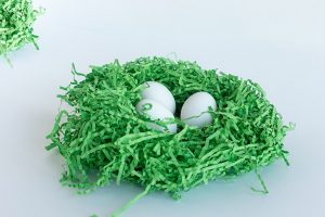Spring can be a time for ‘green eggs and chocolate,’ say UBCO experts