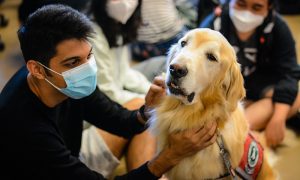 UBCO celebrates 10 years of canine therapy programs